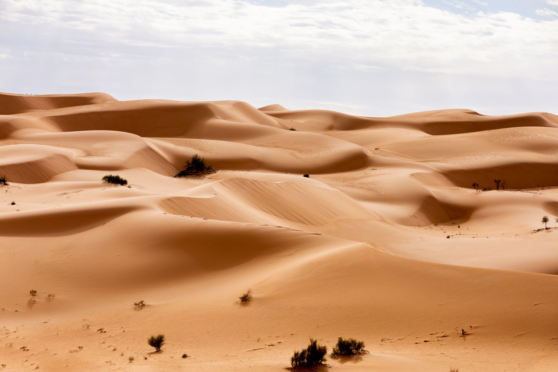 Algeria — Vast Sahara dunes, Roman ruins & the whitewashed Casbah of Algiers