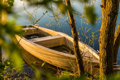 Коричневая деревянная лодка возле дерева