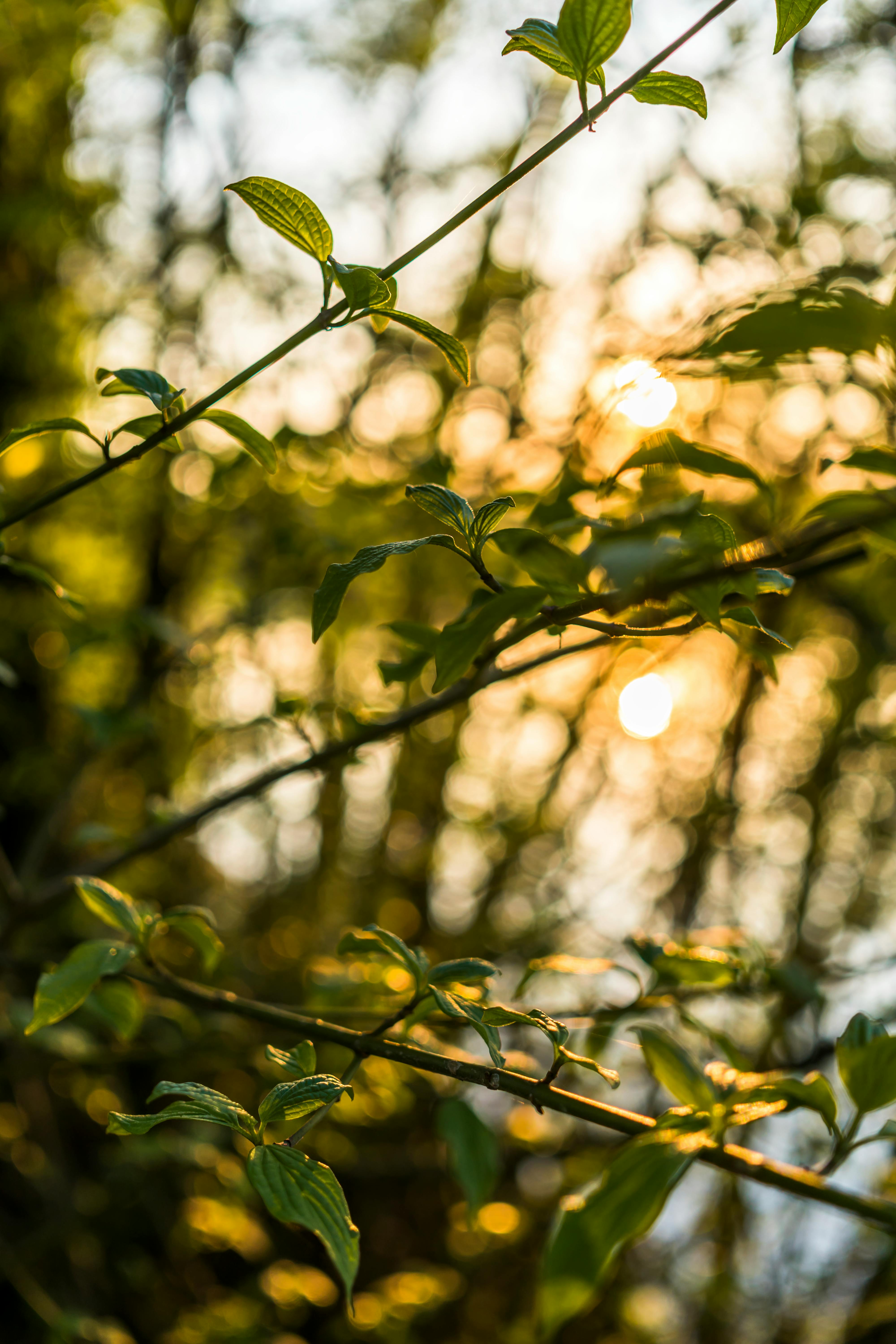 100,000+ Best Background Image Photos · 100% Free Download · Pexels Stock  Photos