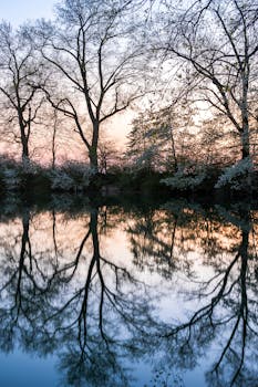 黄昏时分，宁静的树木倒映在平静的湖中，散发出温暖的秋日光芒