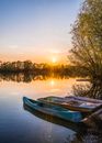 Three Brown Canoes Under Golden Hour
