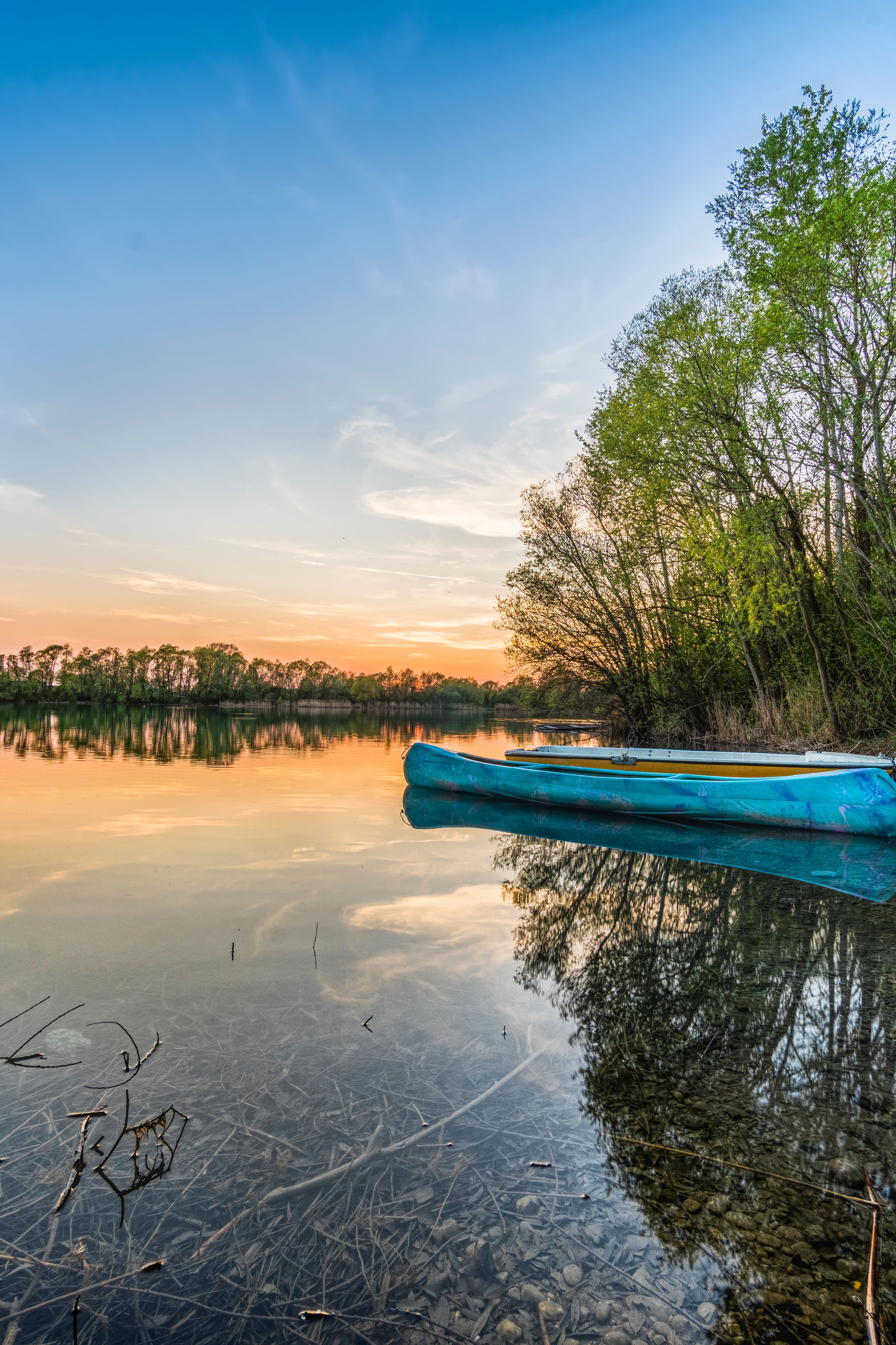 Blue Canoe on Water Beside Trees · Free Stock Photo