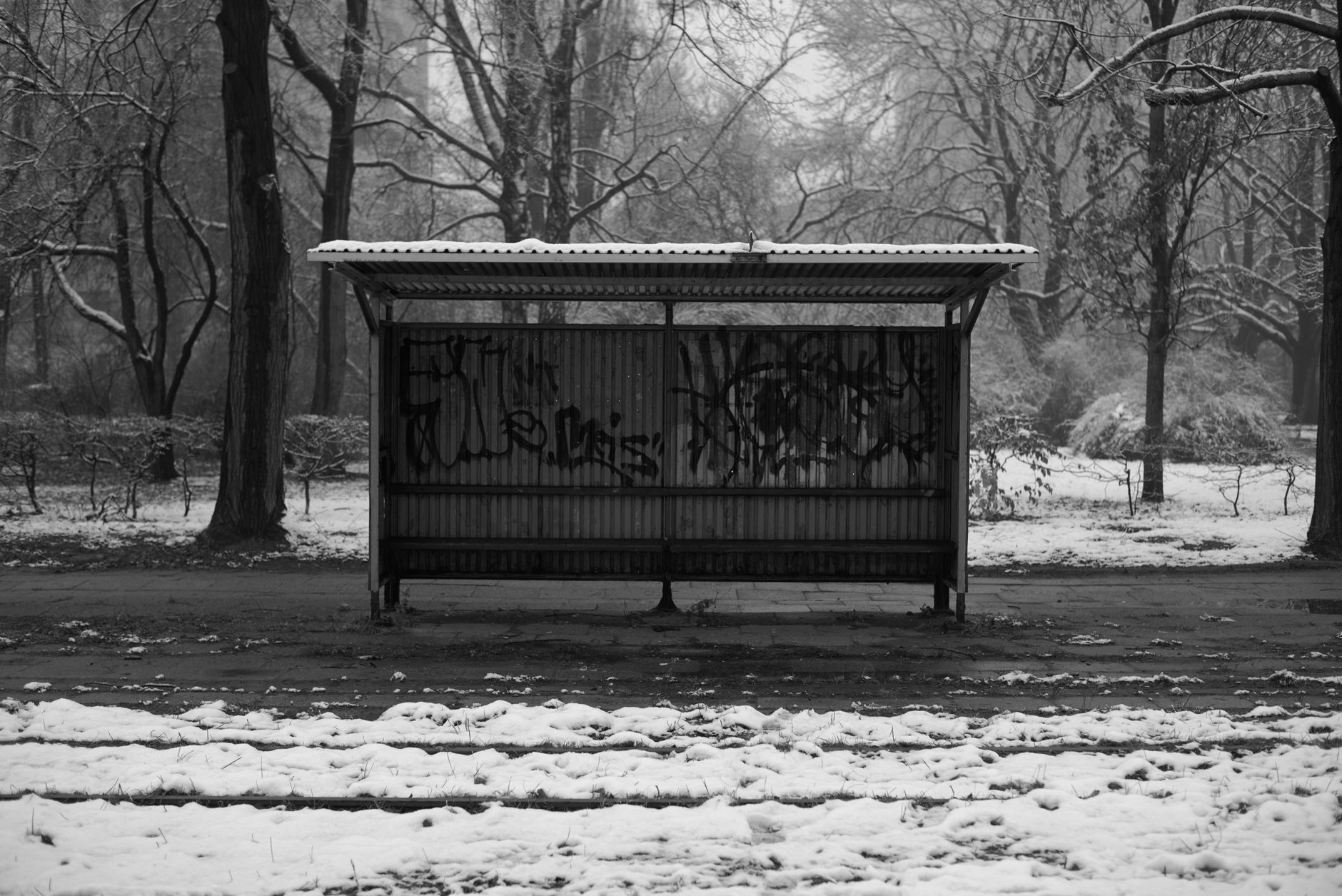 Stațiile moderne ale liniei verzi de autobuz, distruse de vandali