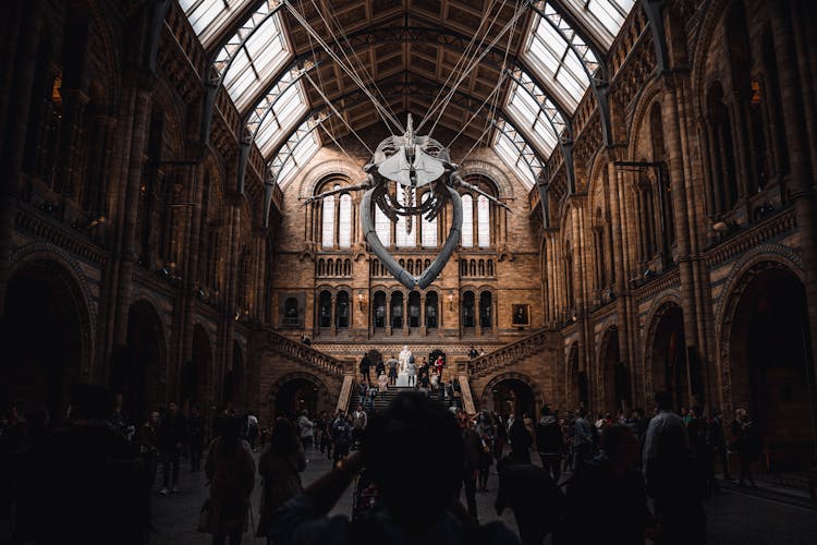 People Inside The Natural History Museum 