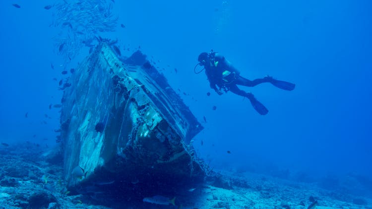 Diver And Wreck