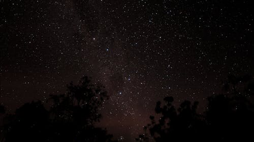 Free Scenic View of Starry Sky Stock Photo