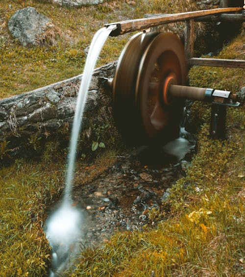 Foto profissional grátis de água, aparelhos, árvore
