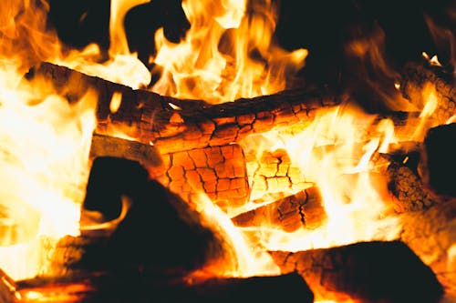 Close-Up Shot of Burning Firewood