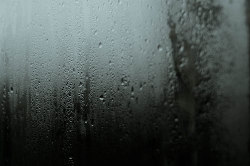 คลังภาพถ่ายฟรี ของ ฝน, หน้าต่างกระจก, หยดน้ำ