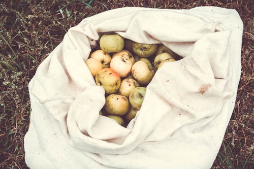 Δωρεάν στοκ φωτογραφιών με καρπός, μήλα, σάκος