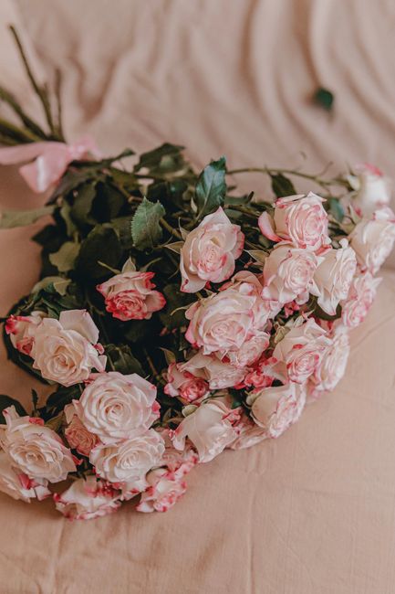 A stunning bouquet of pink and white roses elegantly arranged on soft fabric, perfect for romantic occasions.