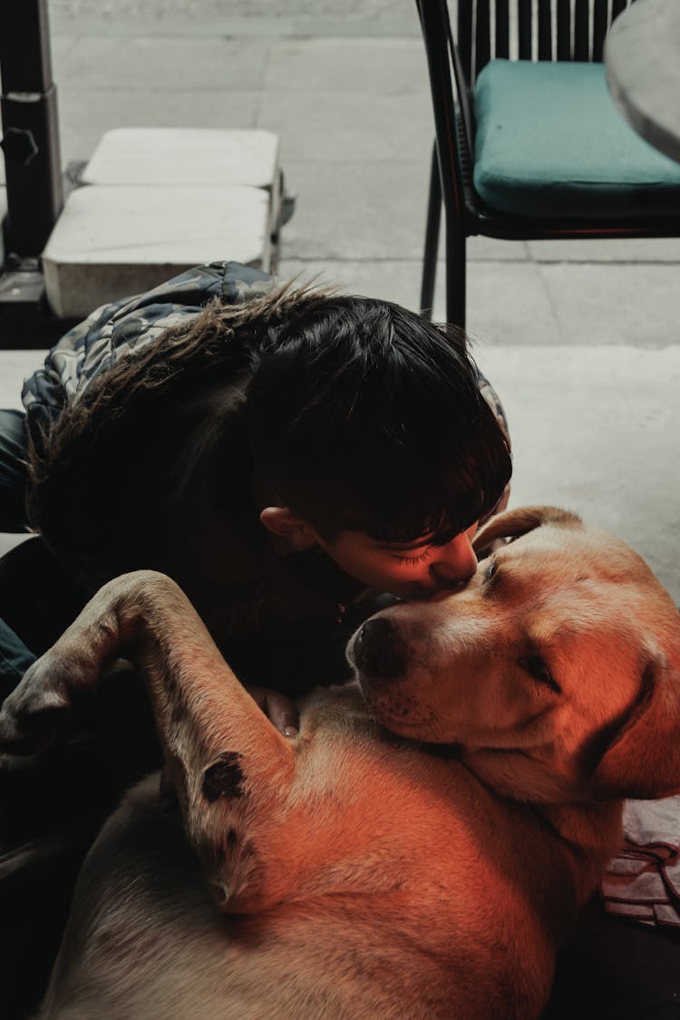 A Boy Kissing A Brown Dog