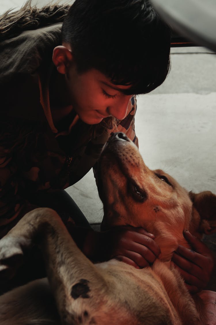 A Boy Petting His Brown Dog