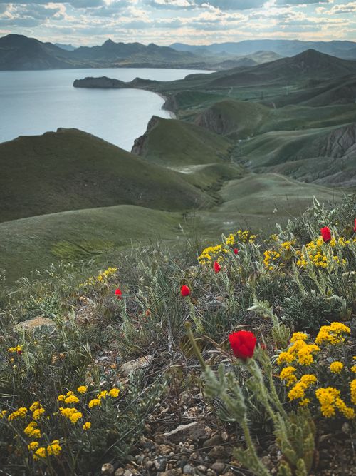 Free Explore the stunning hills and colorful wildflowers in Koktebel'. A breathtaking landscape. Stock Photo
