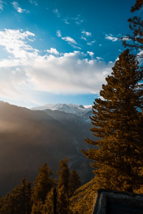 Free Stunning mountain view with evergreen trees and a bright sky, perfect for nature lovers. Stock Photo