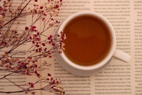 Free Cozy still life with dried flowers and a steaming cup of tea on an open book. Stock Photo