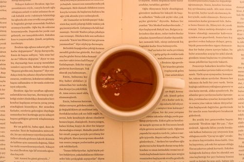 Free A cozy top view of a tea cup on an open book, perfect for a relaxing moment. Stock Photo