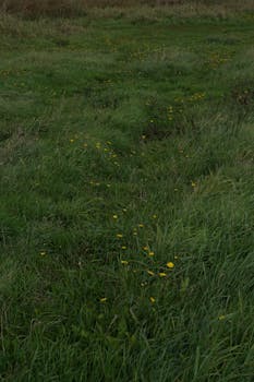 Image by Dariia Brovkina