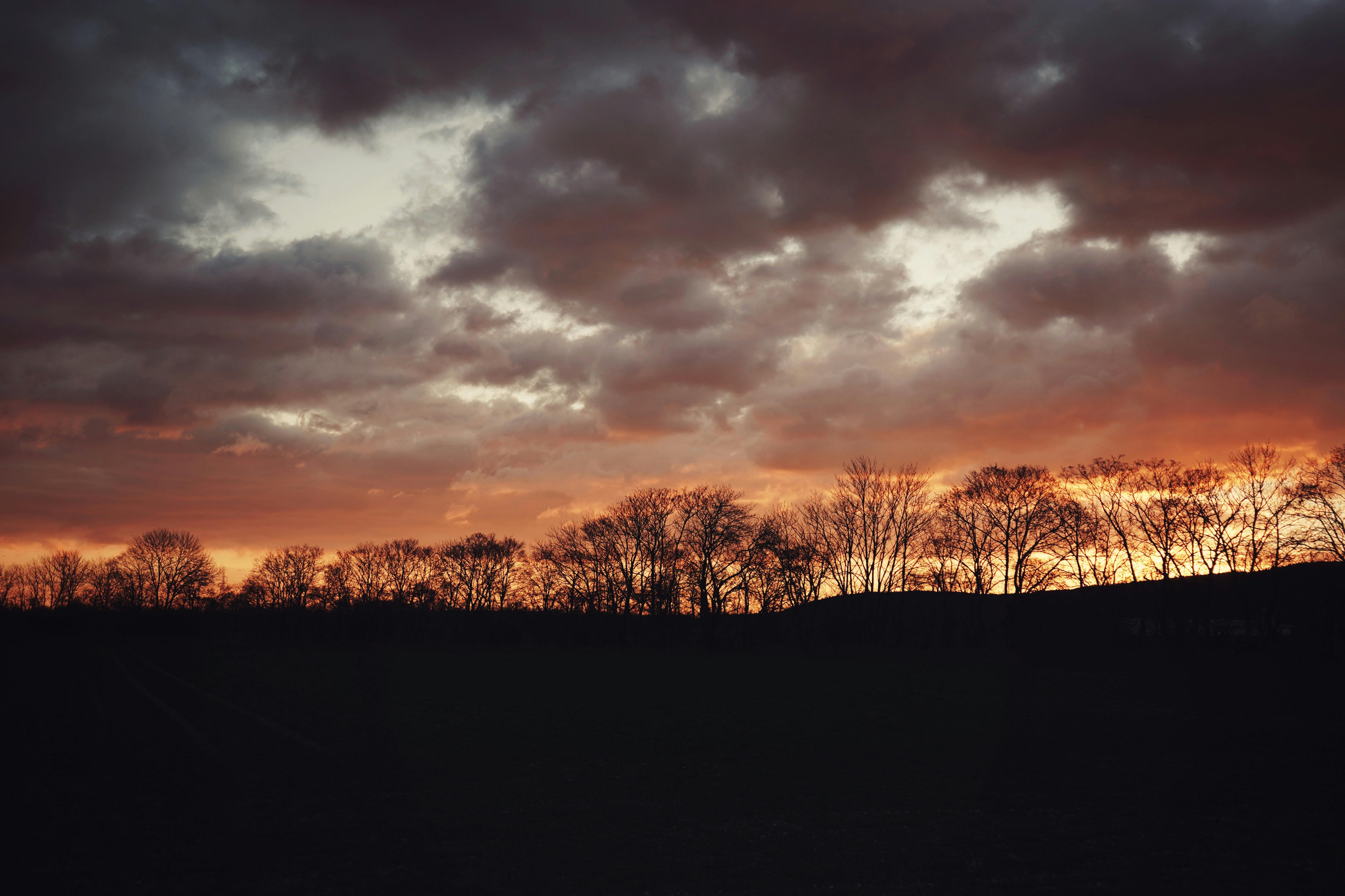A vibrant sunset with silhouetted trees under a dramatic cloudy sky, evoking a serene evening atmosphere.
