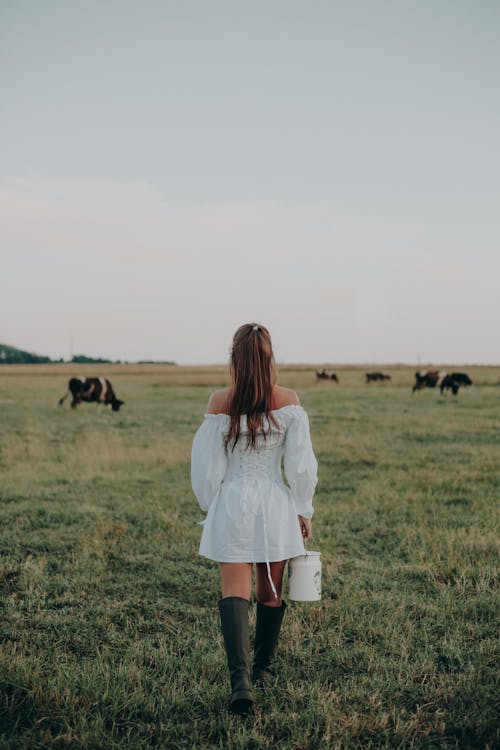 Gratis stockfoto met achteraanzicht, emmer, gras