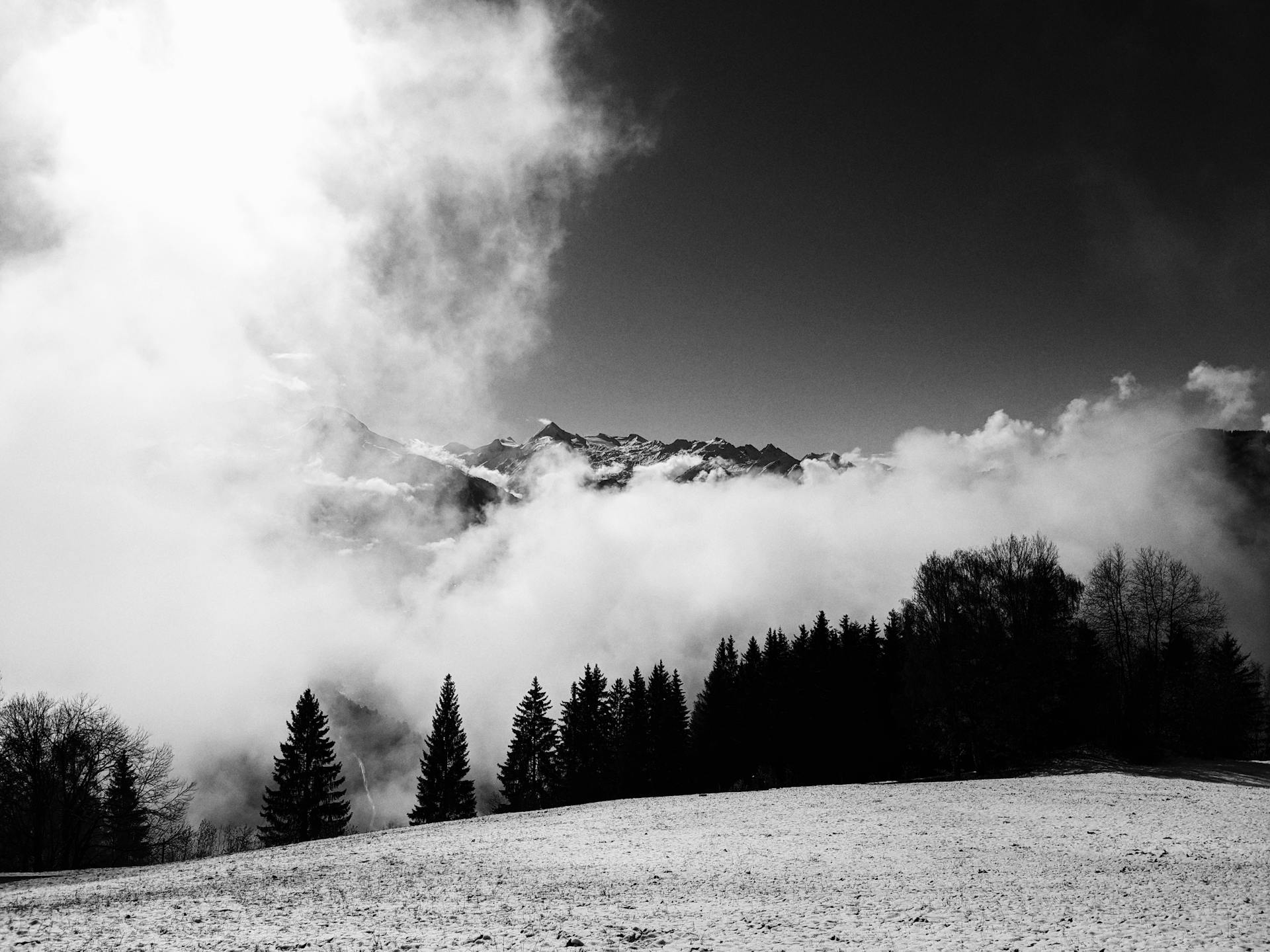 Scenic winter view of mountains and trees in Zell am See, Austria. Dramatic clouds and snow create a captivating monochrome scene.