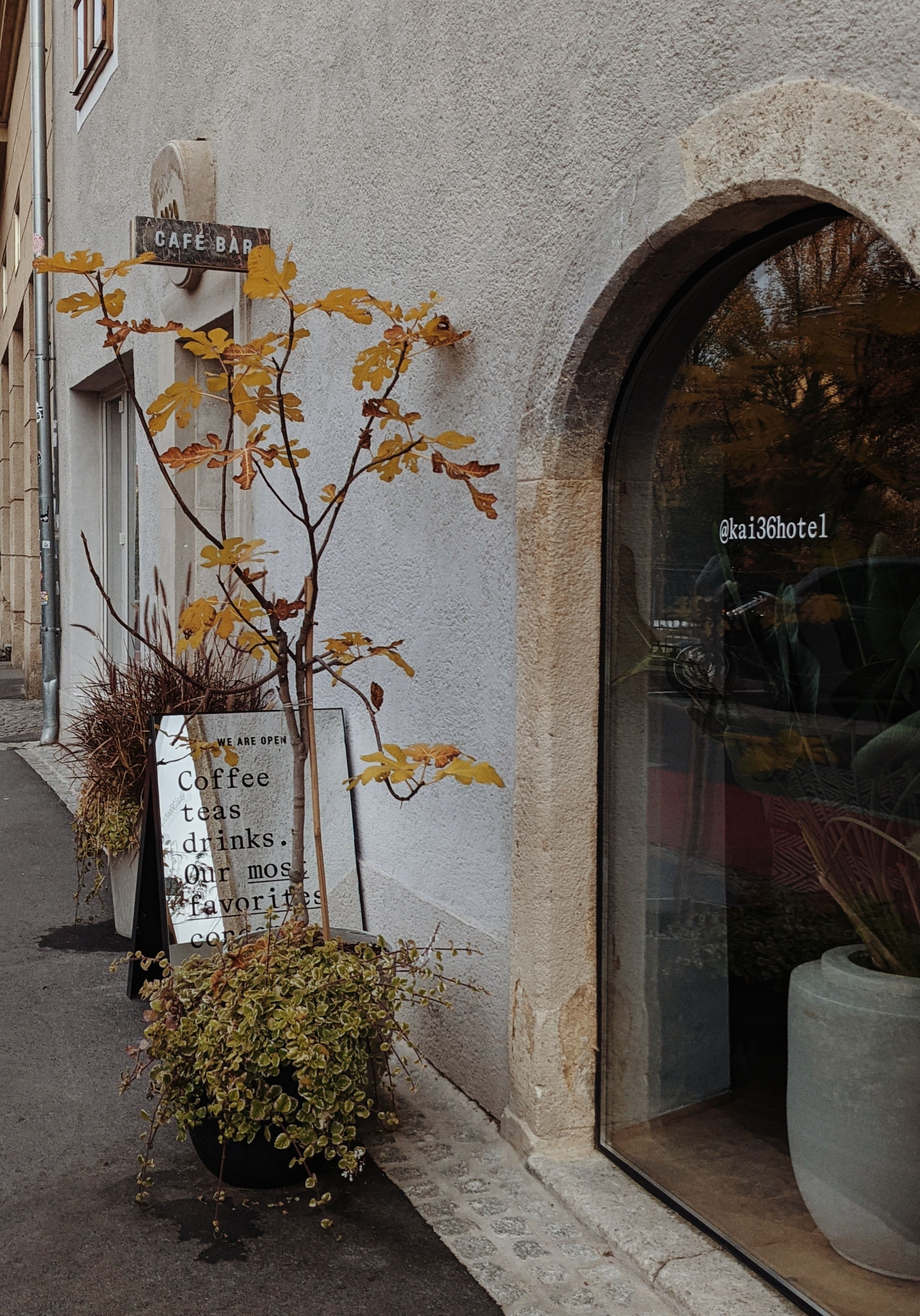 Cozy café entrance with potted plants and autumn leaves in Graz, Austria.
