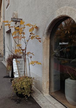 Cozy café entrance with potted plants and autumn leaves in Graz, Austria.