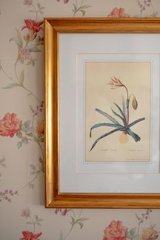 Elegant vintage frame with floral art against a floral patterned wallpaper.