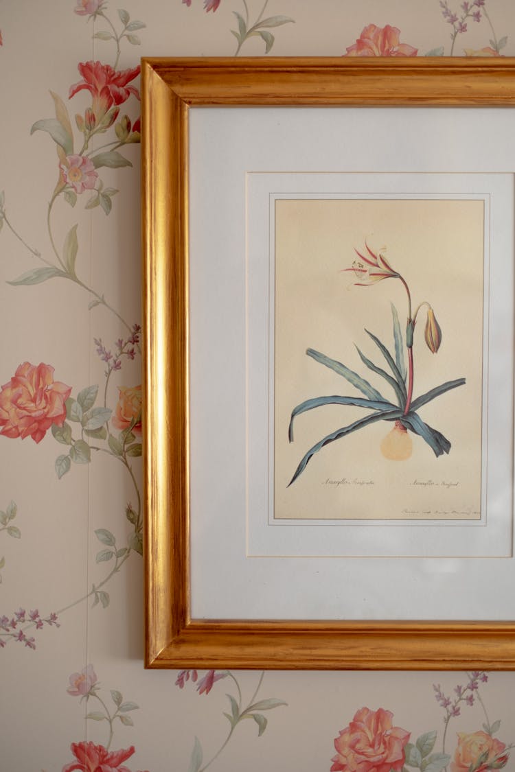 Vintage Botanical Illustration Of Amaryllis Hanging On Wall Covered With Floral Wallpaper