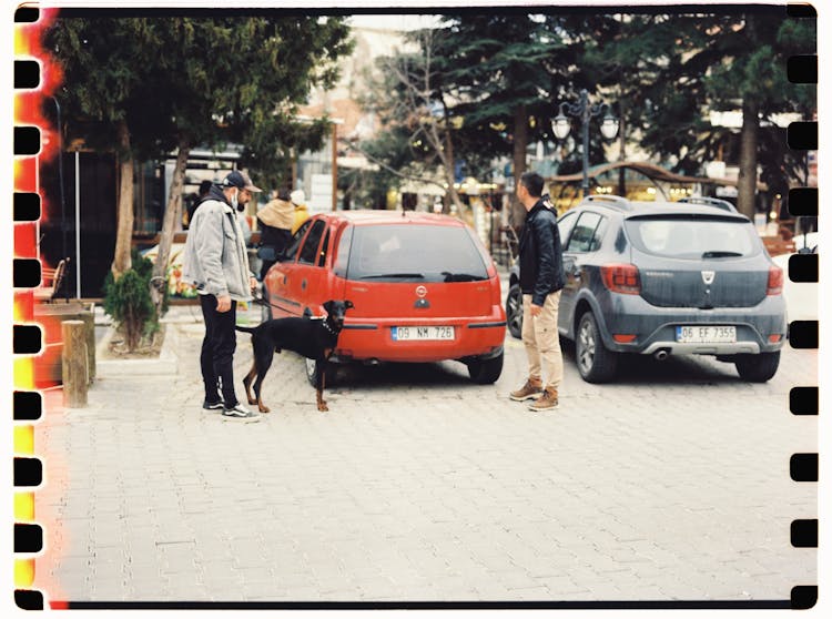 A Man And A Black Dog Beside A Red Car Parked On The Parking Lot