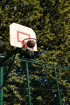 A basketball hoop against a backdrop of lush green trees on a sunny day outdoors.