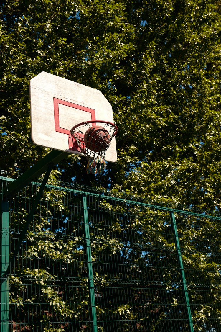 Basketball Hoop With Ball