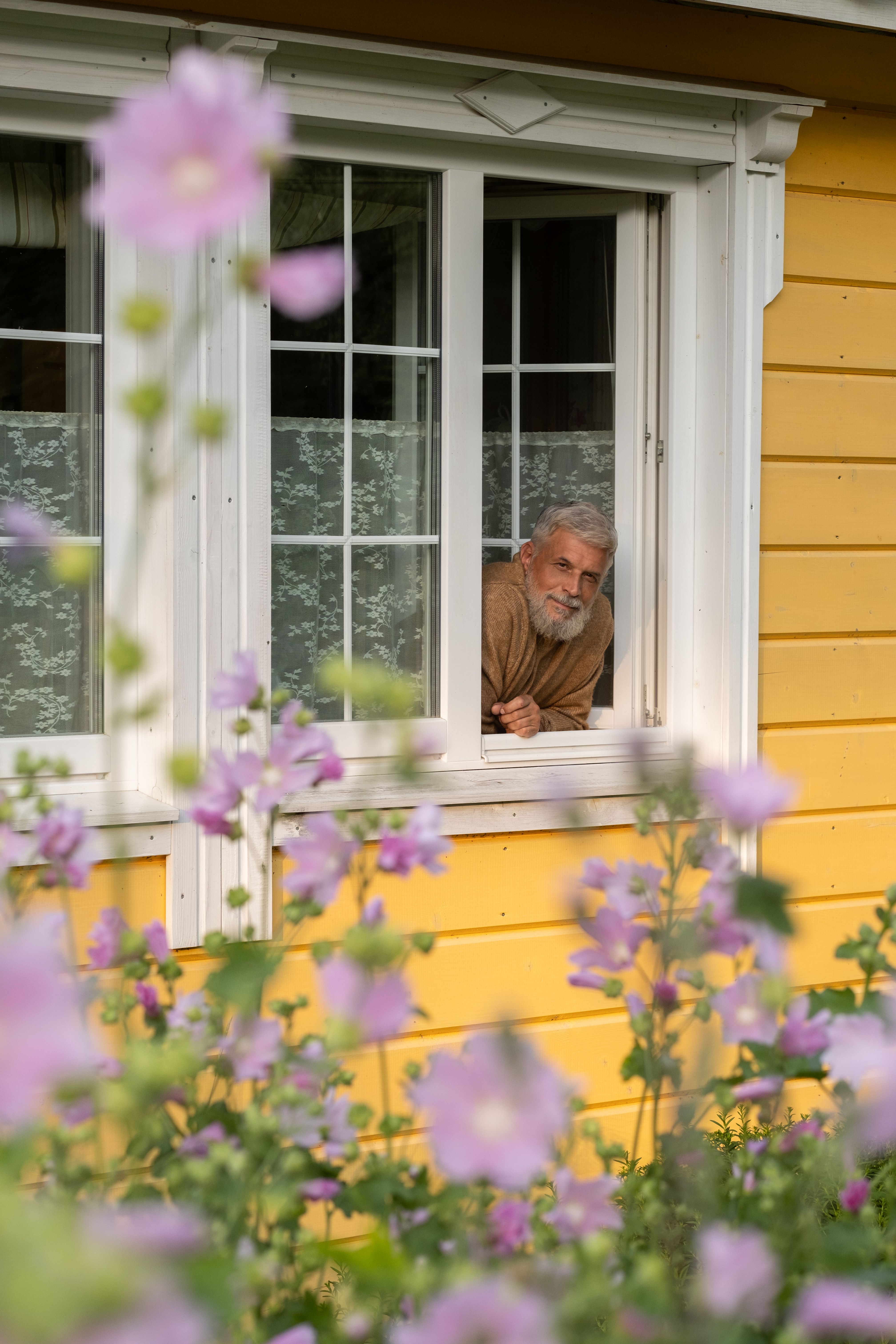 Senior man with gray beard gazing through a window surrounded by blooming flowers in a sunny garden.