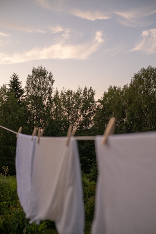 Clothes Line with Wooden Clips