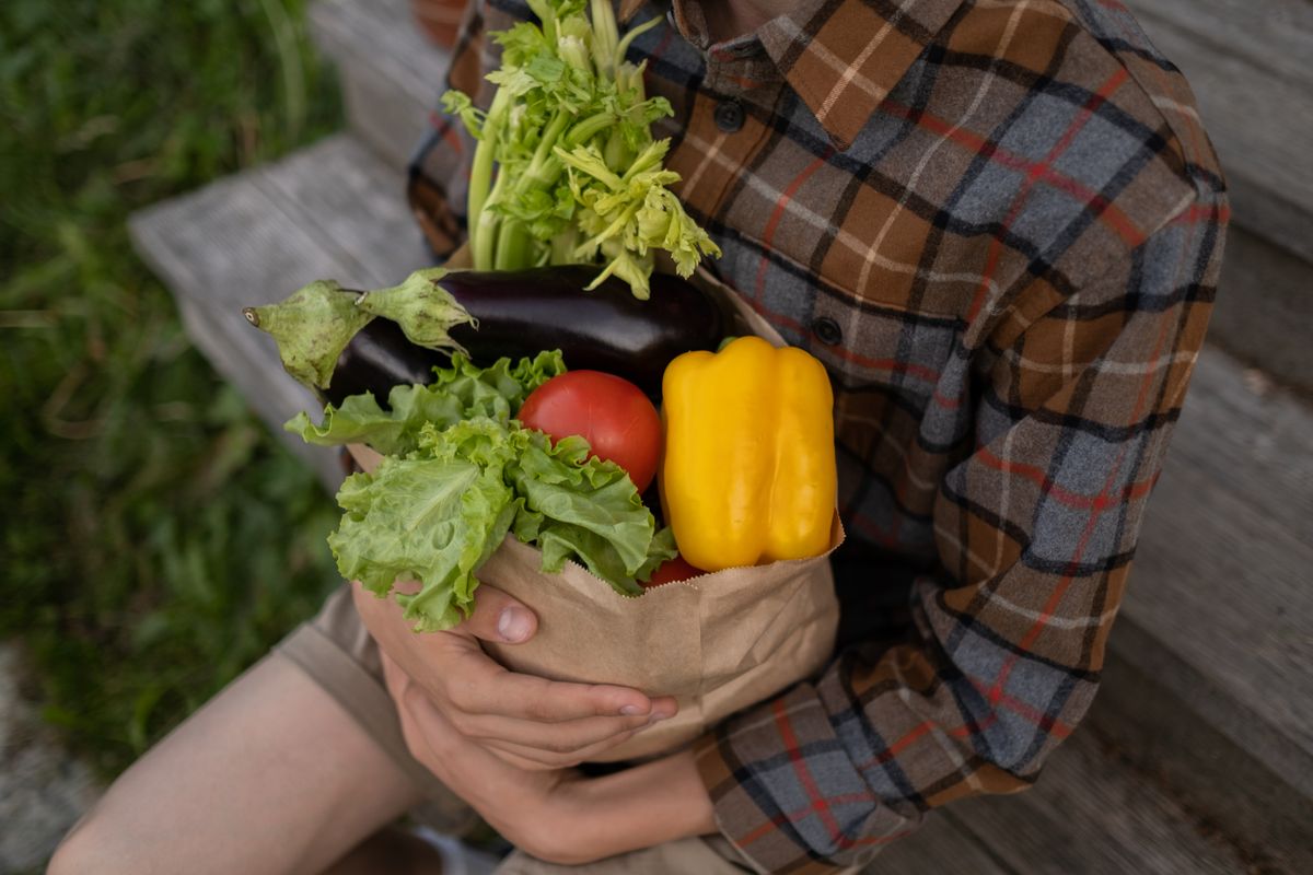sac salade - Comment choisir un sac à salade adapté à vos besoins ?