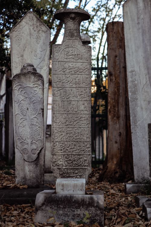 Free Arabic-inscribed tombstones in a historic Istanbul cemetery amidst fallen leaves. Stock Photo