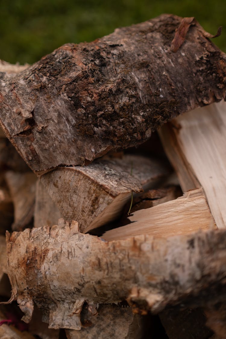 Close-Up View Of Chopped Wood