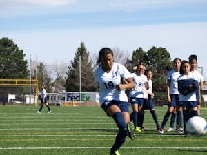 Miniature ride-on train
