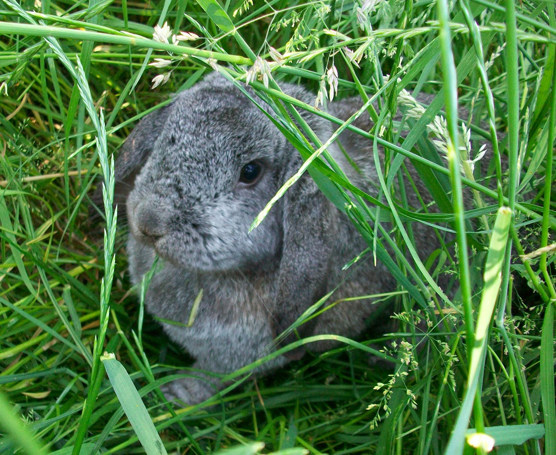 Femme souriante tenant un vêtement en coton biologique, symbolisant la mode durable