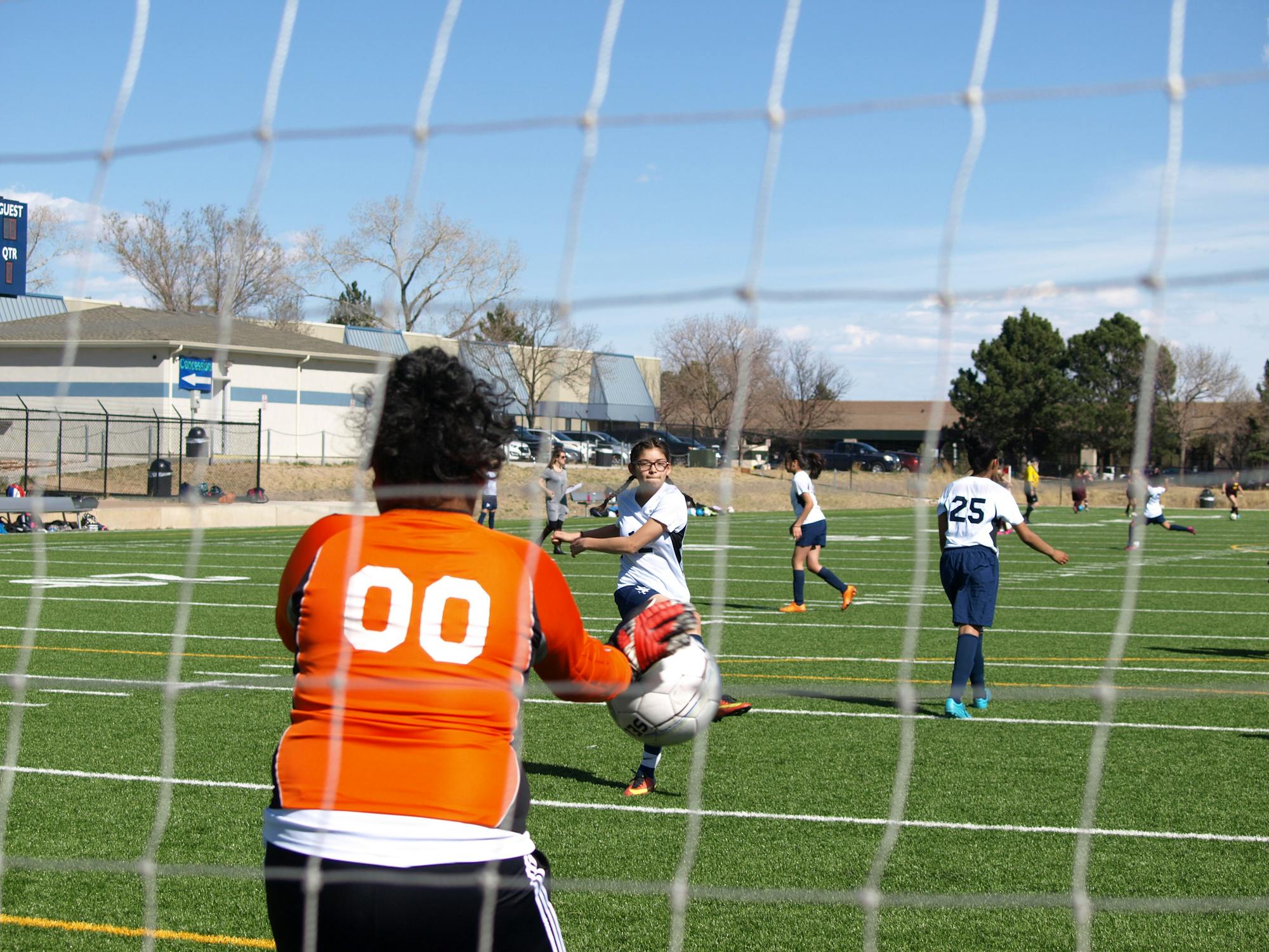Bailarina de Samba en el Carnaval de Brasil