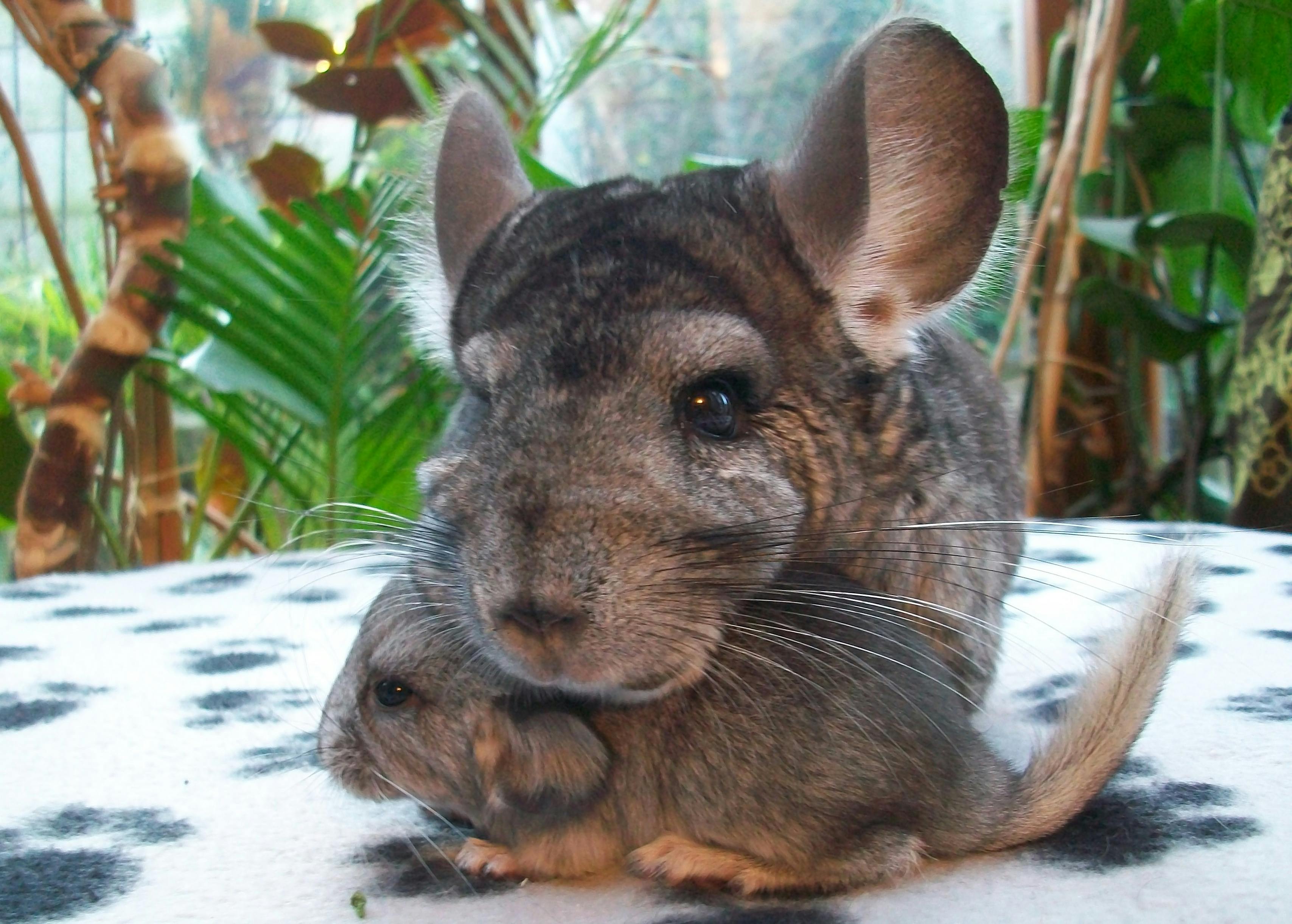 About K.N.O Clothing