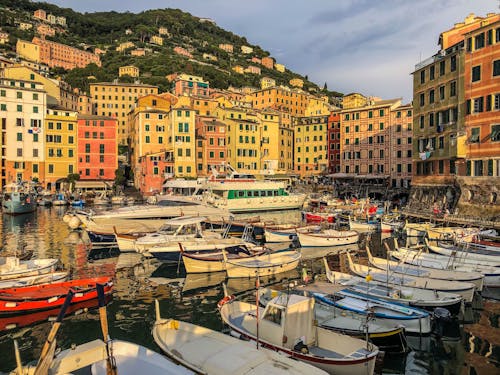 Бесплатное стоковое фото с porticciolo di camogli, водный транспорт, гавань
