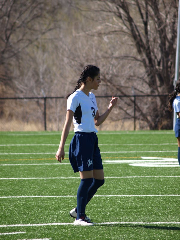 Silver Hoop Earrings