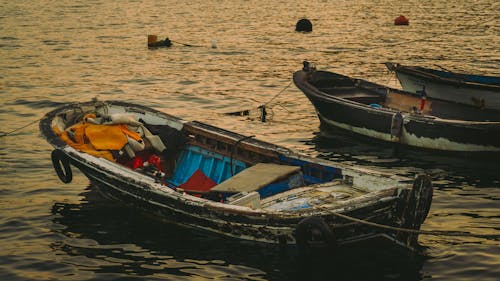 Δωρεάν στοκ φωτογραφιών με αγκυροβολημένος, αλιεία, βάρκες Φωτογραφία από στοκ φωτογραφιών