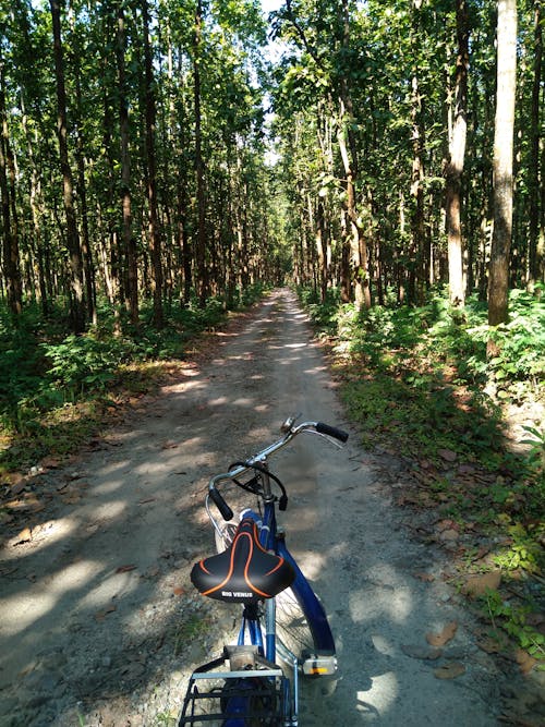 A Bike Parked on a Dirt Road