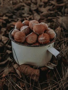 A rustic cup filled with hazelnuts surrounded by autumn leaves, capturing a warm fall mood.