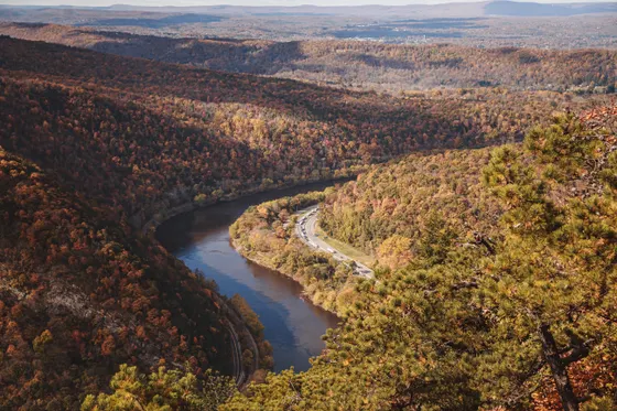 A forested vista in the Pennsylvania Wilds