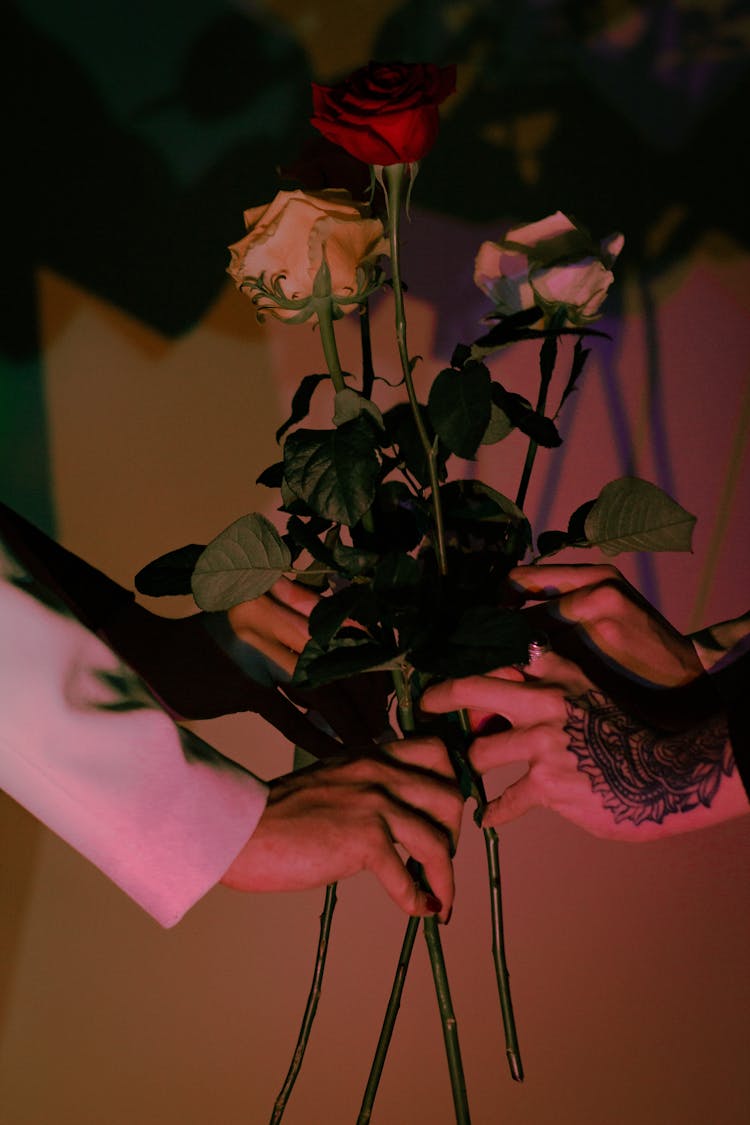 Hands Of Unrecognizable Persons Holding Single Roses