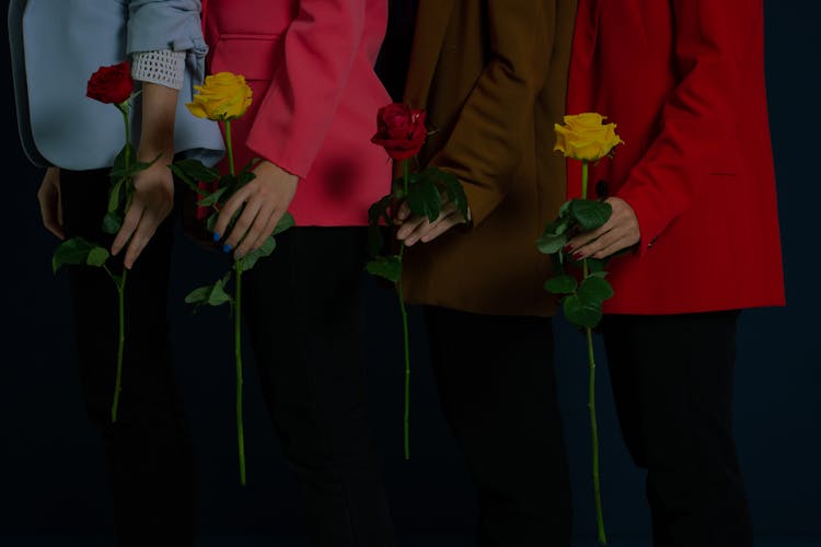 Hands Of Persons Holding Long Stem Roses