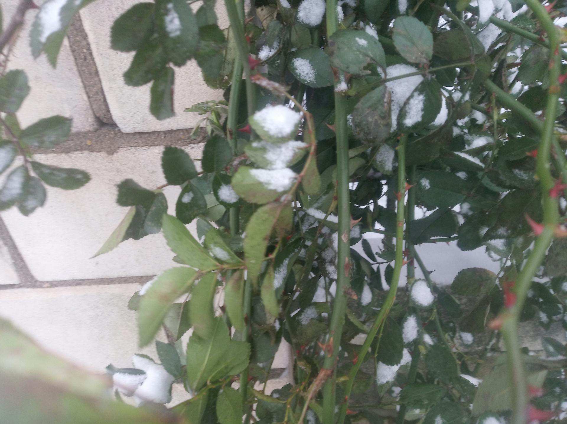 Old City (Icherisheher)